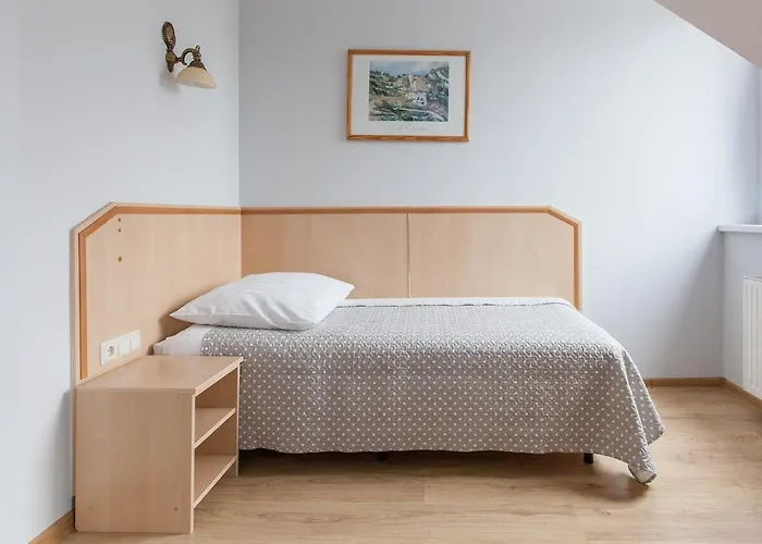 Antica شقة فندقية كراكوفيا